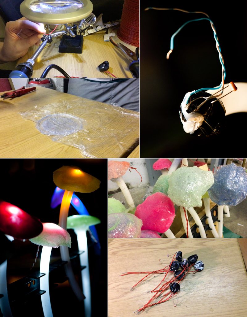 mushrooms_montage